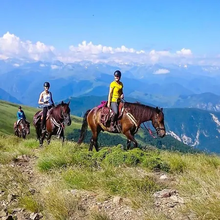 Pet-friendly W Garden 펜션 *