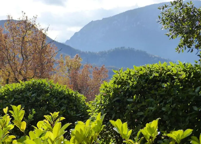 Pet-friendly W Garden Hébergement de vacances Quillan